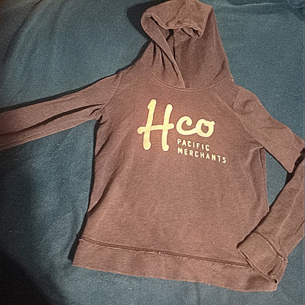 Grey Hollister Hoodie